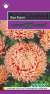 Астра Леди коралл лососево-розовая (гавриш) 0,05 гр  – купить в г. Москва