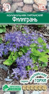 Колокольчик Гарганский Филигрань (евро семена) 5шт Колокольчик Гарганский Филигрань (евро семена) 5шт