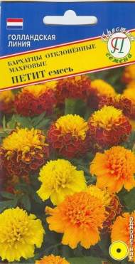 Бархатцы Петит махровая смесь (престиж) 20 шт Бархатцы Петит махровая смесь (престиж) 20 шт