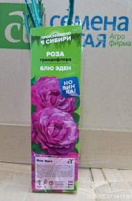 Роза Алтай грандифлора Блю Эден 1 шт Роза Алтай грандифлора Блю Эден 1 шт
