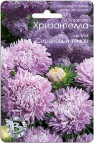 Хризантелла Сиреневый туман (биотехника) 30шт Хризантелла Сиреневый туман (биотехника) 30шт