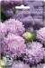 Хризантелла Сиреневый туман (биотехника) 30шт  – купить в г. Москва