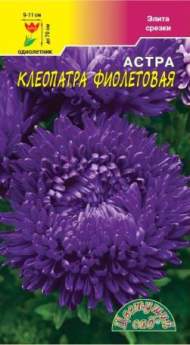 Астра Клеопатра фиолетовая (цветущий сад) 0,2гр Астра Клеопатра фиолетовая (цветущий сад) 0,2гр