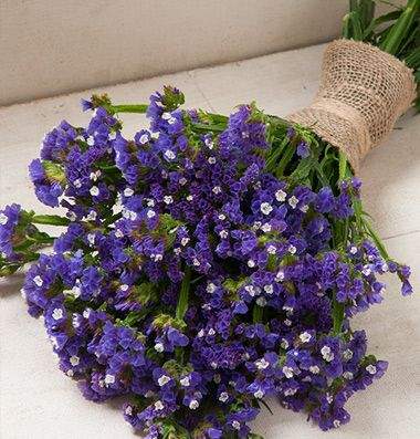 Статица Суприм синяя (поиск) 0,15 гр  – купить в г. Москва