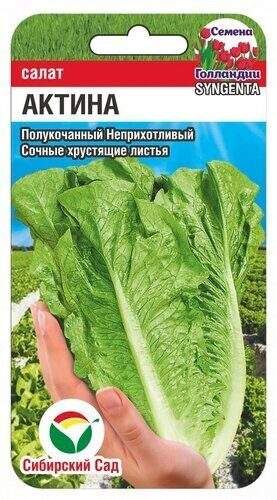 Салат полукочанный Актина (сибирский сад) 10шт 