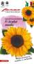 Подсолнечник декоративный Везувий танжи F1 (гавриш) 5 шт  – купить в г. Москва