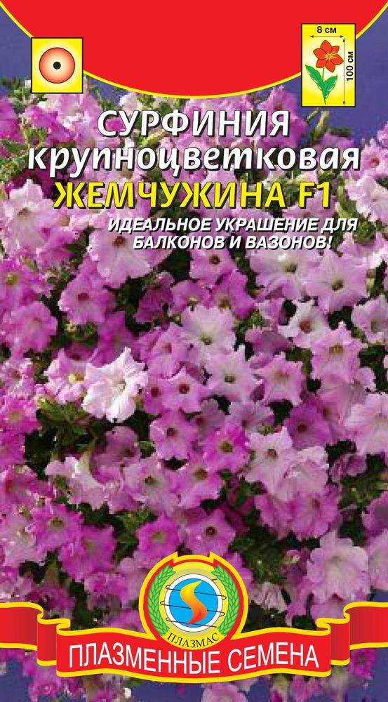 Сурфиния Купить Семена Интернет Магазин