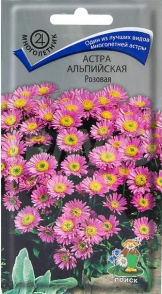 Астра Альпийская розовая (поиск) 0,04 гр многолетняя Астра Альпийская розовая (поиск) 0,04 гр многолетняя