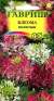 Клеома Матильда (гавриш) 0,2 гр  – купить в г. Москва