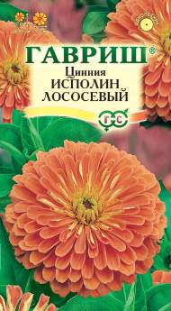 Цинния Исполин лососевый (гавриш) 0,3 гр Цинния Исполин лососевый (гавриш) 0,3 гр