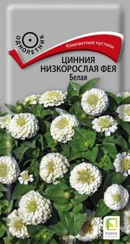 Цинния Фея Белая (поиск) 0,1 гр