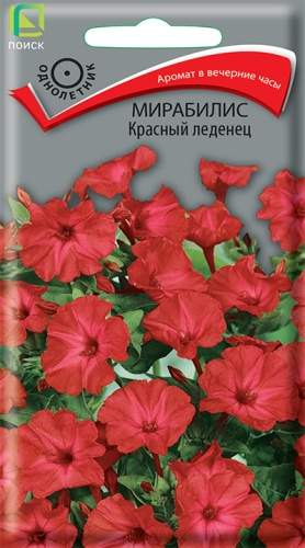 Мирабилис Красный леденец (поиск) 1,0 гр  