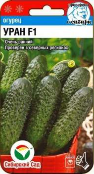 Огурец Уран F1 (сс) 5шт