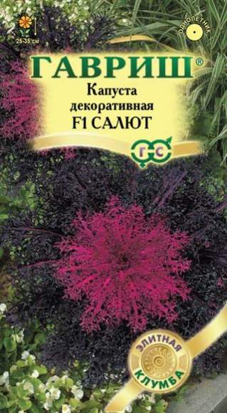 Капуста декоративная Салют F1 (гавриш) 6шт 