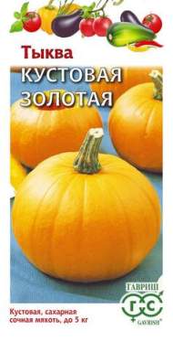 Тыква Кустовая золотая (гавриш) 1,0 гр