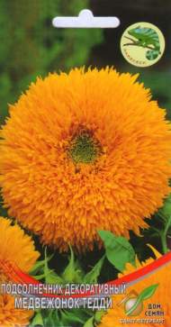 Подсолнечник декоративный Медвежонок Тедди (дом семян) 13шт