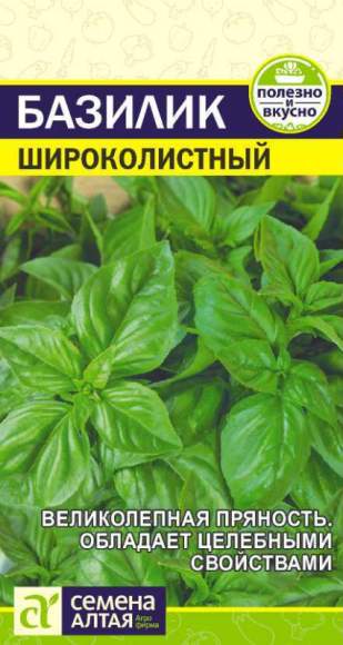 Базилик Широколистный (семена Алтая) 0,3гр 
