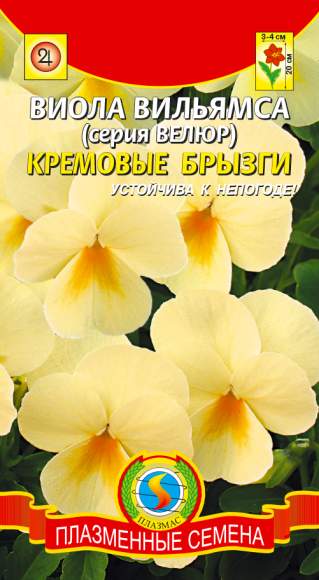 Виола Кремовые брызги (плазмас) 10шт  – купить в г. Москва