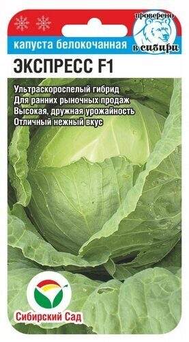 Капуста б/к Экспресс F1 (сибирский сад) 25шт 