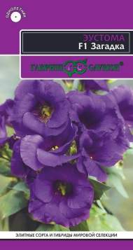 Эустома Загадка низкорослая F1 (гавриш) 4 шт Эустома Загадка низкорослая F1 (гавриш) 4 шт