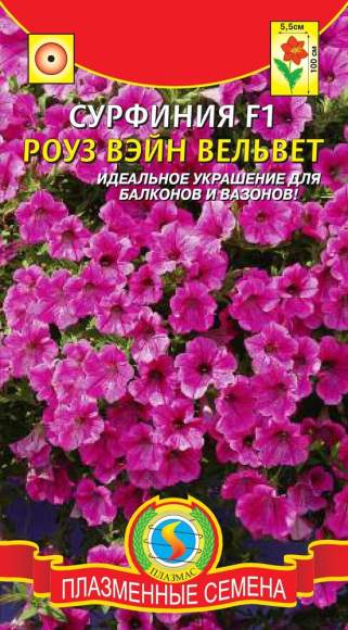 Сурфиния Роуз вэйн вельвет F1 (плазмас) 5шт 