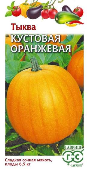 Тыква Кустовая оранжевая (гавриш) 1,0гр 