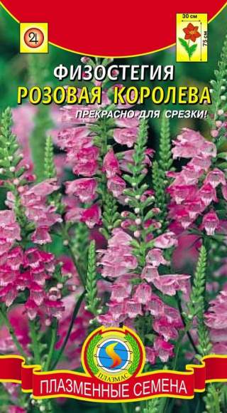 Физостегия Розовая королева (плазмас) 10 шт  – купить в г. Москва