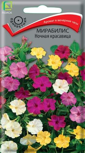 Мирабилис Ночная красавица (поиск) 2,5 гр Мирабилис Ночная красавица (поиск) 2,5 гр