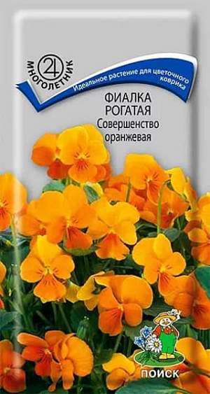 Фиалка Совершенство оранжевая (поиск) 0,1 гр многолетник – купить в г. Москва Фиалка Совершенство оранжевая (поиск) 0,1 гр многолетник – купить в г. Москва