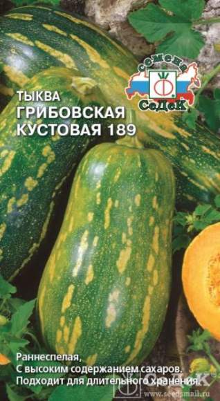  Тыква Грибовская кустовая 189 (с) 