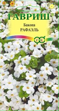 Бакопа Рафаэль (гавриш) 3шт Бакопа Рафаэль (гавриш) 3шт