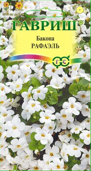 Бакопа Рафаэль (гавриш) 3шт Бакопа Рафаэль (гавриш) 3шт