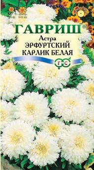 Астра Эрфуртский карлик белая (гавриш) 0,3гр Астра Эрфуртский карлик белая (гавриш) 0,3гр