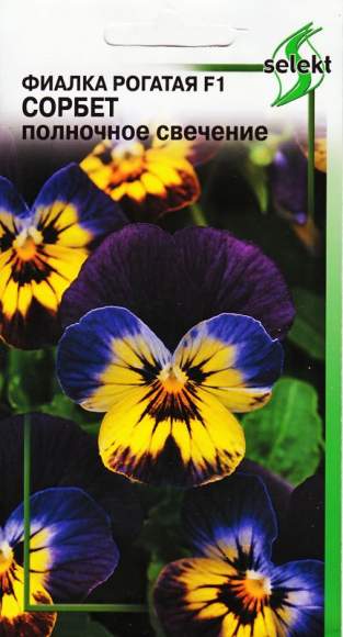 Фиалка рогатая сорбет Полночное свечение F1 (дом семян) 7 шт   – купить в г. Москва