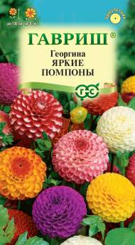 Георгина Яркие помпоны (гавриш) 0,2 гр