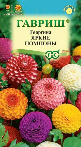 Георгина Яркие помпоны (гавриш) 0,2 гр  – купить в г. Москва