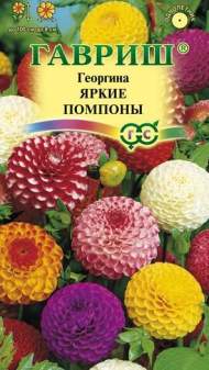Георгина Яркие помпоны (гавриш) 0,2гр Георгина Яркие помпоны (гавриш) 0,2гр