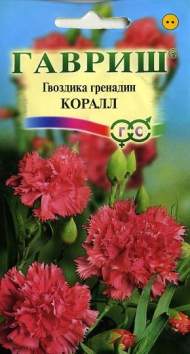 Гвоздика гренадин Коралл (г) 0,05гр Гвоздика гренадин Коралл (г) 0,05гр