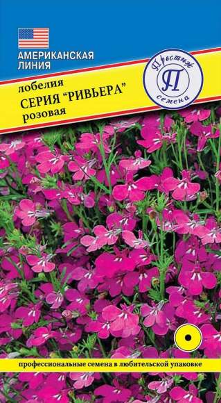 Лобелия Розовая (серия Ривьера) (престиж) 5шт  – купить в г. Москва