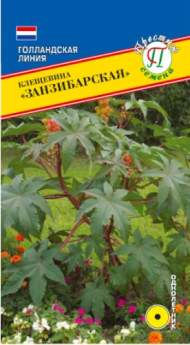 Клещевина Занзибарская (престиж) 5шт Клещевина Занзибарская (престиж) 5шт