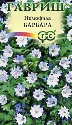 Немофила Барбара (гавриш) 0,3 гр