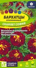 Бархатцы Скарлет софия (семена Алтая) 0,2гр