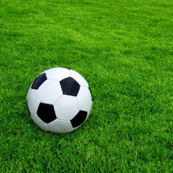  Газонная трава СПОРТИВНАЯ - для площадок с нагрузкой   – купить в г. Москва