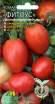 Томат Фитоус (мязина) 10 шт – купить в г. Москва Томат Фитоус (мязина) 10 шт – купить в г. Москва