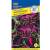 Колеус Мермеризе Шоколадная роза (престиж) 5 шт  – купить в г. Москва
