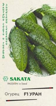 Огурец Уран F1 (гавриш) 5 шт