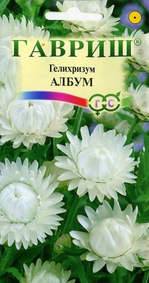 Гелихризум Албум (гавриш) 0,1 гр