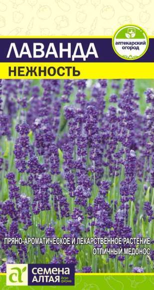Лаванда Нежность (семена Алтая) 0,1гр  – купить в г. Москва