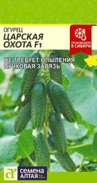 Огурец Царская охота F1 (семена Алтая) 5 шт Огурец Царская охота F1 (семена Алтая) 5 шт