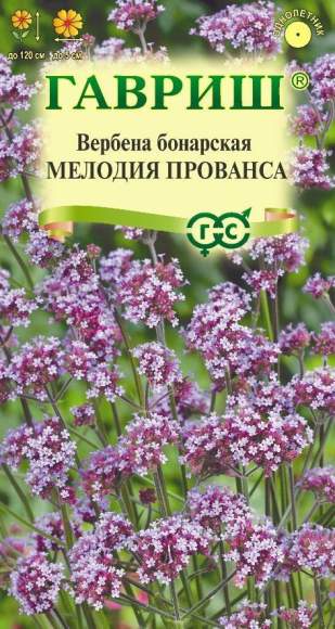 Вербена бонарская Мелодия Прованса (гавриш) 0,03 гр  – купить в г. Москва